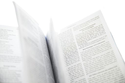 Bibliographie des prisons
